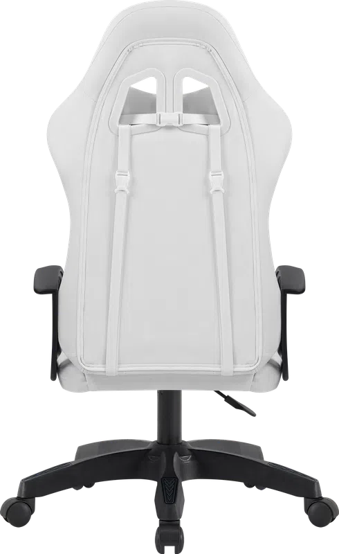 Defender - Gaming chair Lion