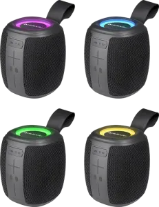 Defender - Portable speaker Enjoy S550