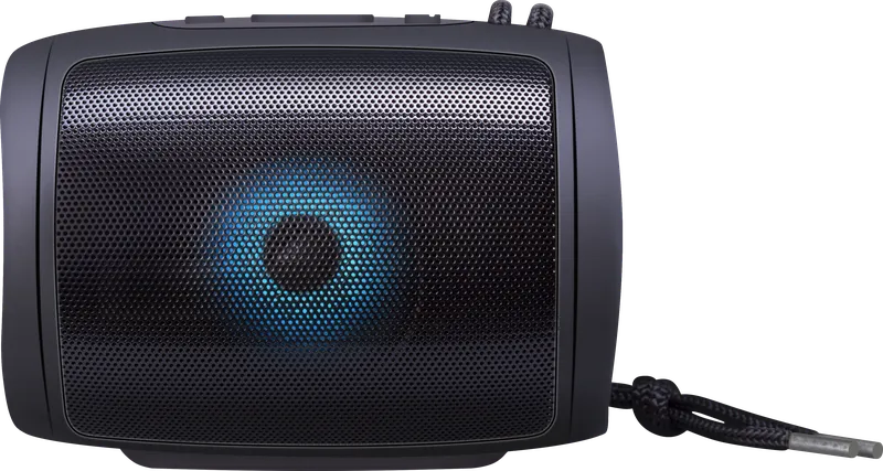Defender - Portable speaker Enjoy S200